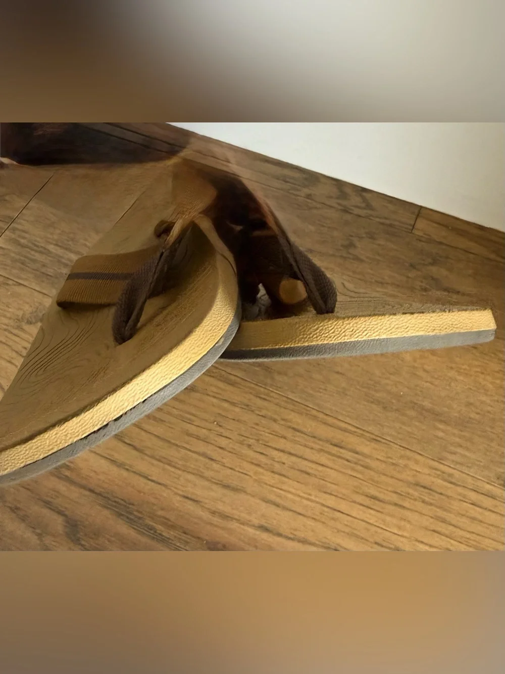 Stio Bircher Flip Flops